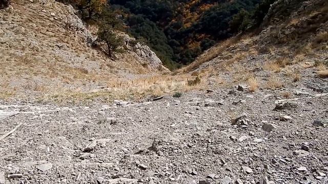 Travel in Ukraine. Южный берег Крыма. Осыпь под "Чёртовой тропкой". Штангеевская тропа. 09.11.2014. смотреть онлайн