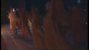 Валентина Толкунова Проседь