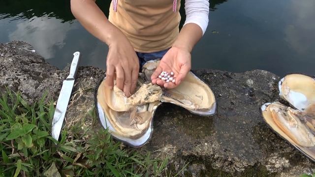 Pearl hunter/bead picker jumps into deep water pool to salvage mussels, big harvest of purple pearl смотреть онлайн