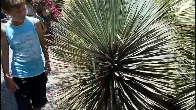 Ботанический сад Q Gardens на Кипре смотреть онлайн