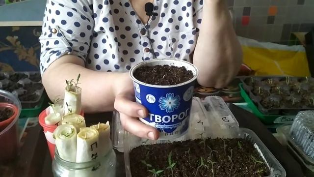 Первые всходы смотреть онлайн