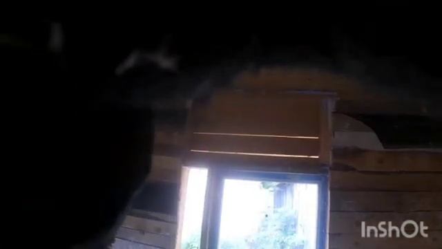 Строю дом из опилок, философия дома. смотреть онлайн