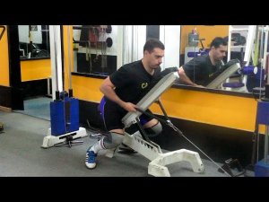 Тяга лёжа с нижнего блока: техника и нюансы