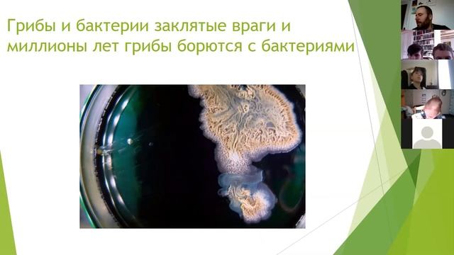 Онлайн занятие Маленький принц Увлекательные науки Грибы 8 смотреть онлайн