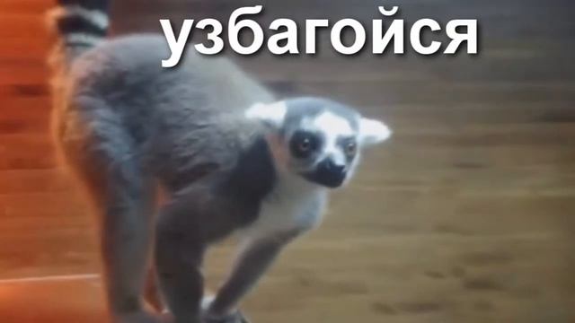 ВК GIF смотреть онлайн
