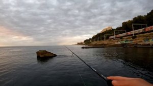 НОВИНКА 2022 от CF? Средне-бюджетные спиннинги Optimus. Первые впечатления