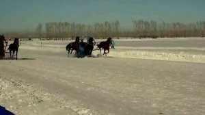 Гонка на тройках лошадей