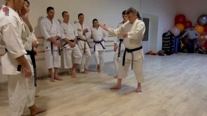 Основные блоки в традиционном карате-до Фудокан и нюансы их выполнения