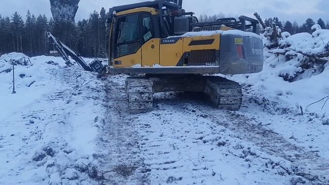 27 ноября 2023 г. смотреть онлайн