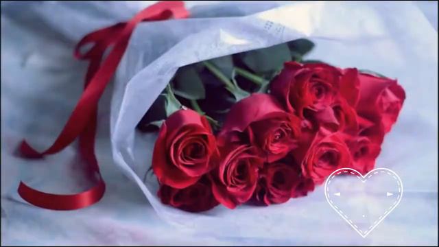 Марат Нова - Окольцованы любовью (ролик ко дню влюбленных) смотреть онлайн