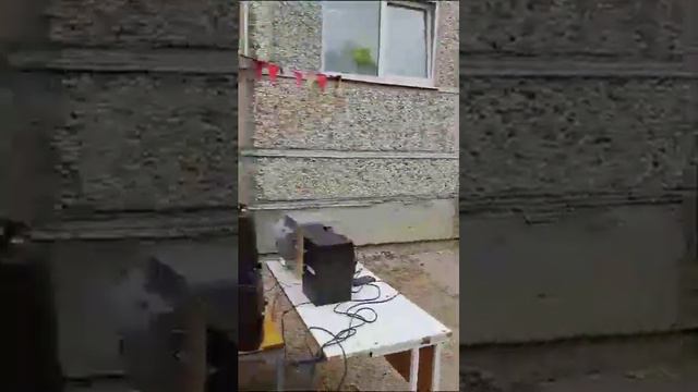 В Экландии весело... 1 июня 2023 год. смотреть онлайн