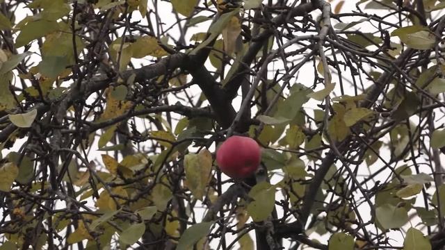 Летние дни смотреть онлайн