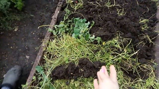 КАК УЛУЧШИТЬ ПЛОДОРОДИЕ ПОЧВЫ! САМЫЙ ДЕШЁВЫЙ И ЭФФЕКТИВНЫЙ СПОСОБ! смотреть онлайн