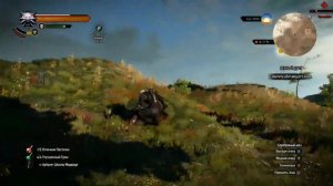 The Witcher 3 Wild Hunt -Дикая охота #116:Дух свободы;Клад неудачника.