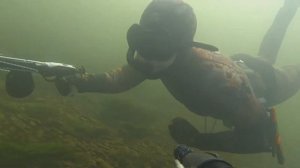 Зимняя подводная охота на Енисее в черте Красноярска на хариуса и налима февраль 2015