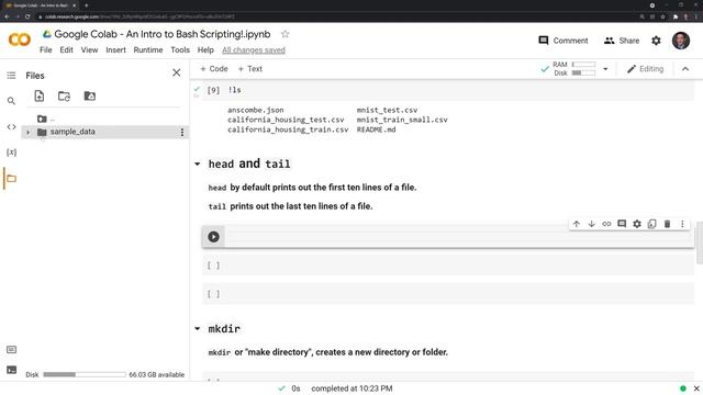 Google Colab - An Intro to Bash Scripting! смотреть онлайн