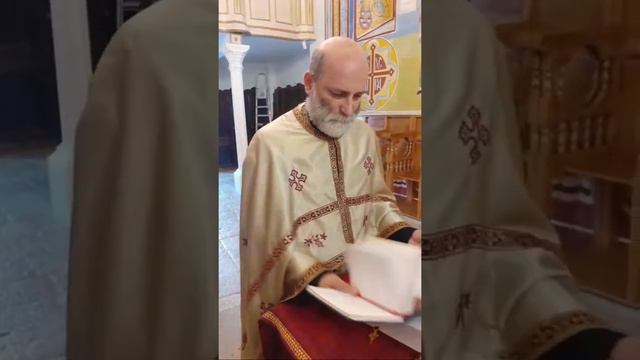 Молебан Пресветој Богородици Црква Света Тројица ( Протојереј Драган Пешикан) 14 Август смотреть онлайн