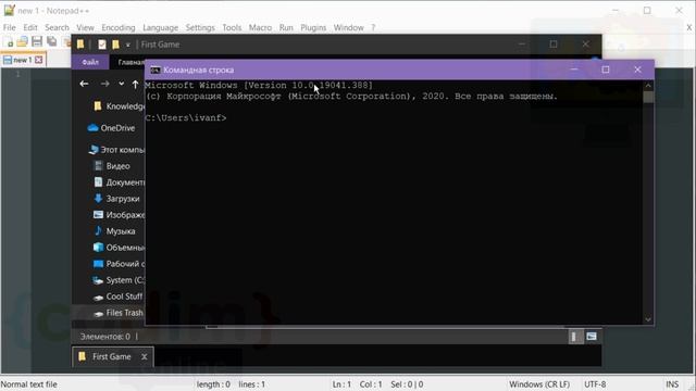 #Pygame Урок 1.3 Создание папки игры, консоль смотреть онлайн