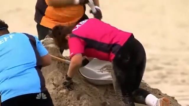 The Biggest Loser S14 E8 смотреть онлайн
