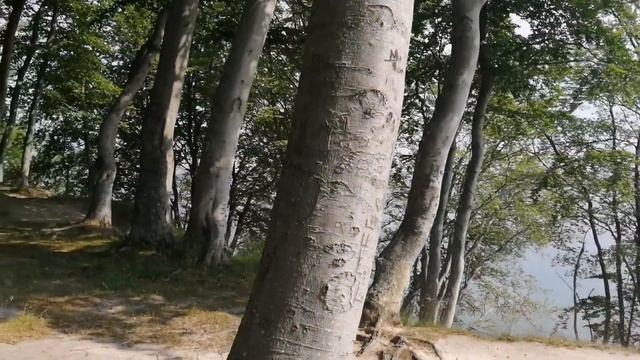 #Море #Пляж #Дания Denmark. Красивая природа Дании смотреть онлайн