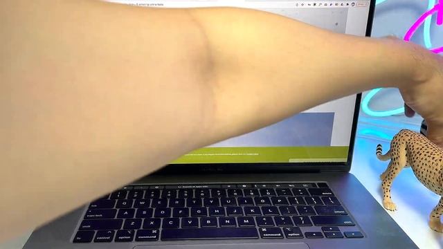 11 AFRICAN ANIMALS FACTS - Lion, Okapi, Hippo, Rhino, Giraffe, Elephant, Cheetah, Zebra, Ostrich