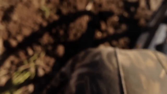 отличный коп,перспективные места,выезд 2й удачно ,кольцевик смотреть онлайн