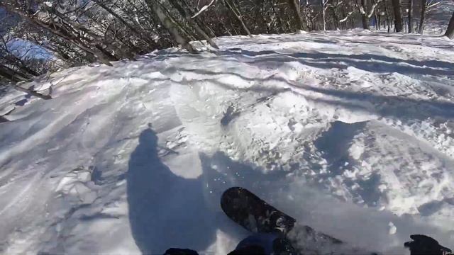 Фрирайд Альпика 2019