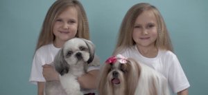 Ты для него весь мир, он для тебя лишь пес 4к