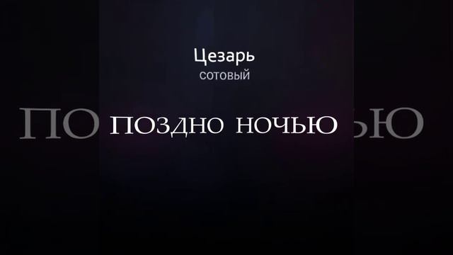 дп | шампанское и розы