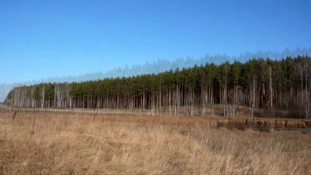 Природа окрестностей города Ирбит смотреть онлайн