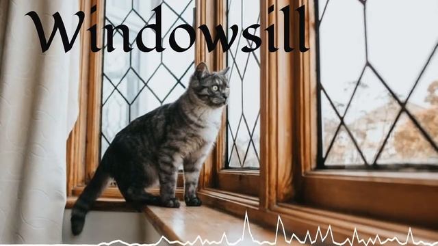 Windowsill смотреть онлайн