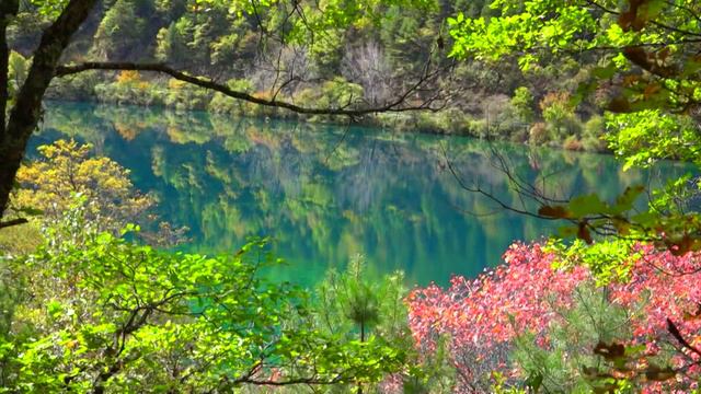 The amazing lakes of Jiuzhaigou Valley.Full HD смотреть онлайн