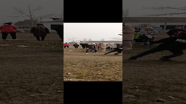 1000017646.mp4 смотреть онлайн