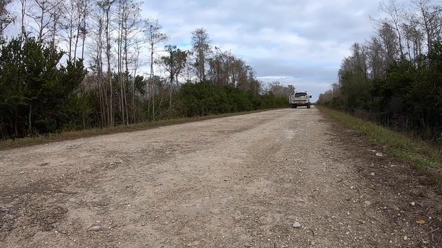 Catching 5 Pythons in 1 Day and 3 AT ONCE with Trapper Mike смотреть онлайн