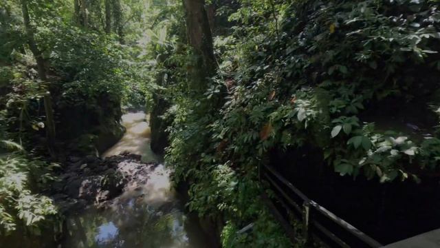 Лес обезьян. Убуд - Monkey forest. Ubud. смотреть онлайн
