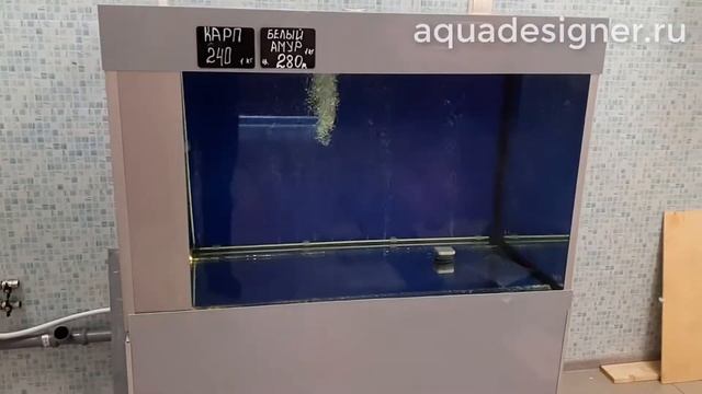 Аквариума для торговли живой рыбой, был установлен в одном из рыбных магазинов г. Москвы смотреть онлайн