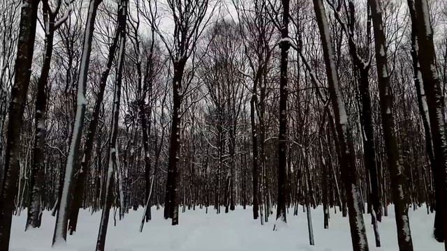 VID 20220130 125631 Поэту 1908 (Н. Гумилёв)...Павел Васильев Лахтинский смотреть онлайн
