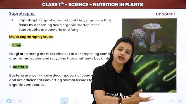 Class 7 Science Chapter 1 | Nutrition in Plants Full Chapter Explanation & NCERT Solutions смотреть онлайн