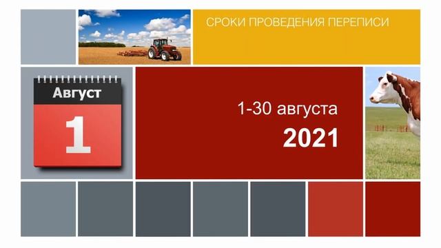 Сельхозперепись смотреть онлайн