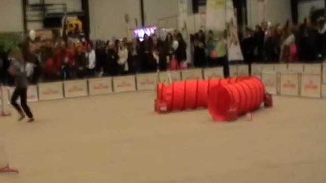 A2 Small - Брыль Елизавета и папийон Тайна смотреть онлайн