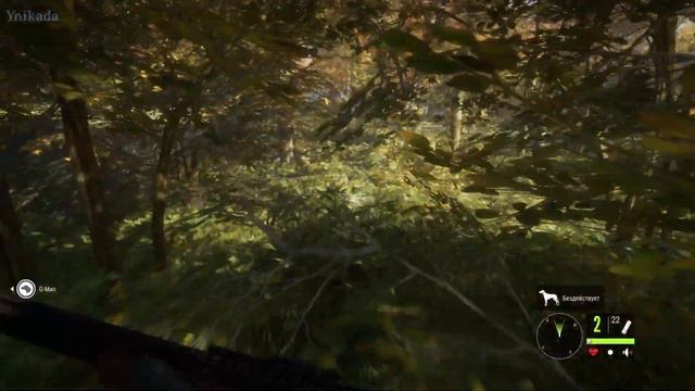 the Hunter: Call of the wild - Обзорный час: запись смотреть онлайн