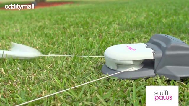 Capture The Flag Remote Control Dog Toy смотреть онлайн