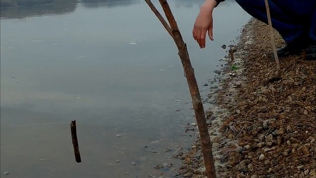 ЭТА СНАСТЬ ЛОВИТ ВСЕГДА! УЛЬТРА-ЛАЙТ ДОНКА. ЛОВЛЯ ЕЛЬЦА И ПЛОТВЫ В ЧЕРТЕ ГОРОДА. РЫБАЛКА В ОМСКЕ. смотреть онлайн