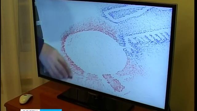 «Выг: большие тайны маленьких островов» в Нацмузее РК смотреть онлайн