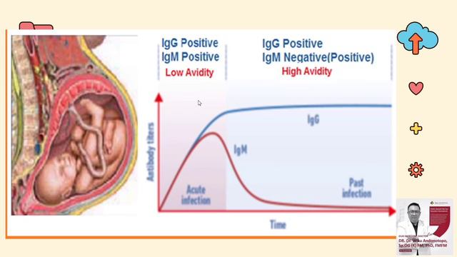 INFEKSI TOXOPLASMOSIS DALAM KEHAMILAN (Dr Wiku Andonotopo)