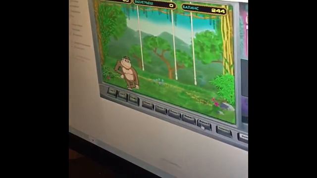 Как стать миллионером с Верой Рогатовской. смотреть онлайн