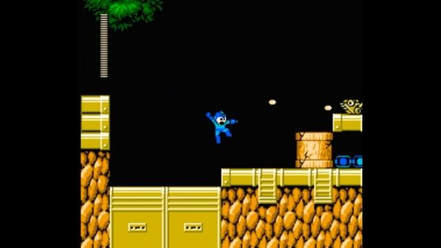Dendy (Famicom,Nintendo,Nes) 8-bit MegaMan (RockMan) 6 part stage PlantMan