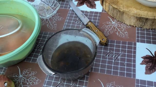 Various Recipes From Aynura's Kitchen Book\Mushroom Salad\Kabab Pilaf