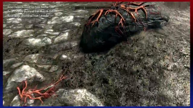 Games and Chill - Skyrim w/ Special Guest Xilian X! (15) смотреть онлайн