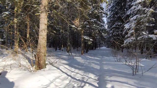 Наступает весна, лыжи заканчиваются… смотреть онлайн